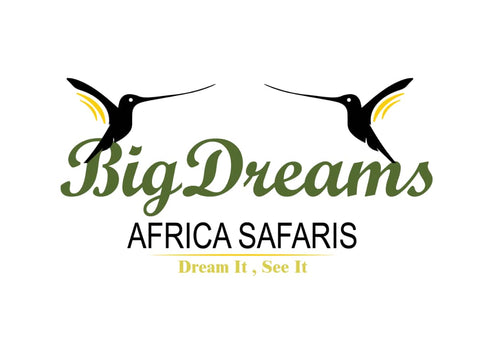 BIGDREAMS AFRICA SAFARIS