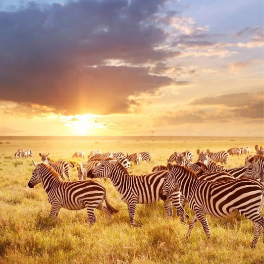 14 Days Botswana & Zimbabwe