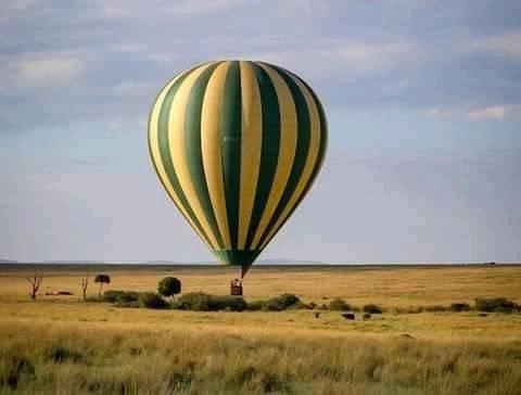 9 Days South African Tour