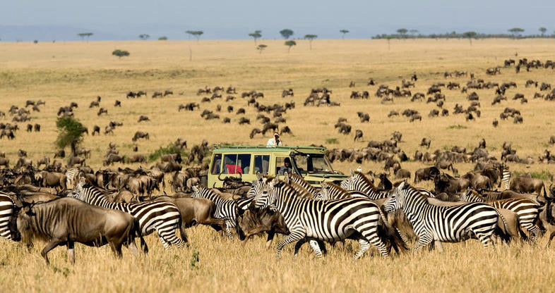 files/serengeti-safari-lodges-great-migration-01-786x416.jpg